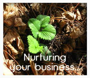 Nurturingyourbusiness