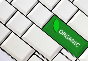 Social-media-marketing-Brevard-fl