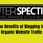 Organic Website Traffic
